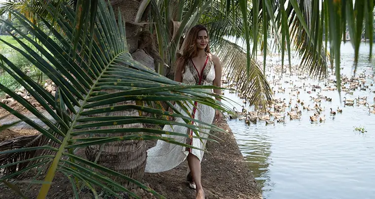 Blue Jelly Marina - Blue Jelly Cruises & Resort